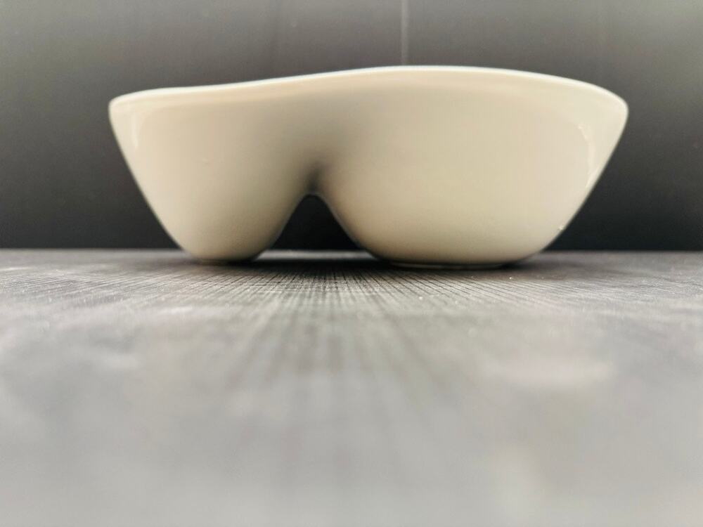 Tabletops Gallery Blanc de Blanc White Ceramic Divided Dip Snack Serving Bowl